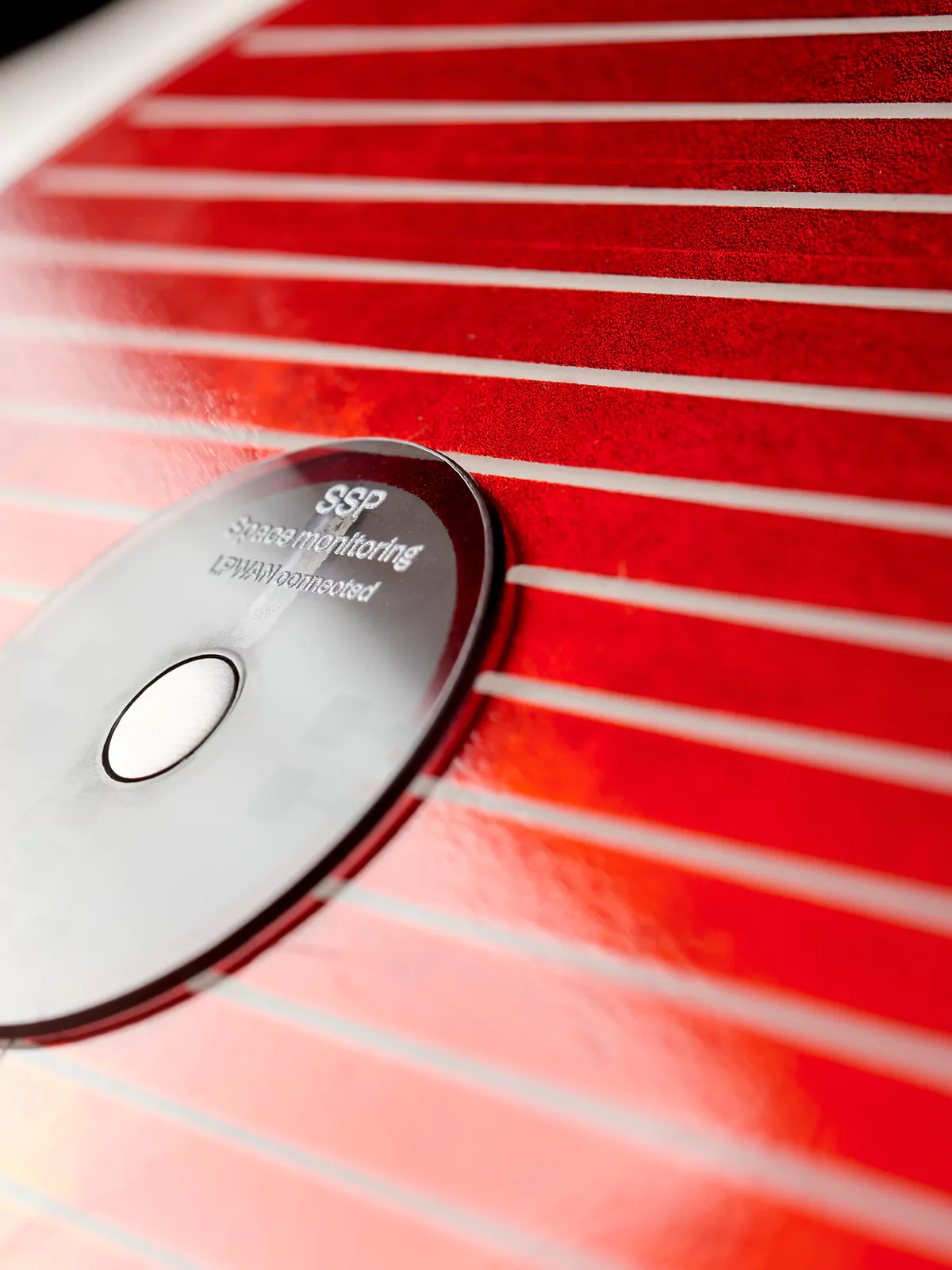 Unibz-Parasites-SZ-4695